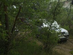 exp-zr-2009 454